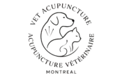 Acupuncture Vétérinaire 