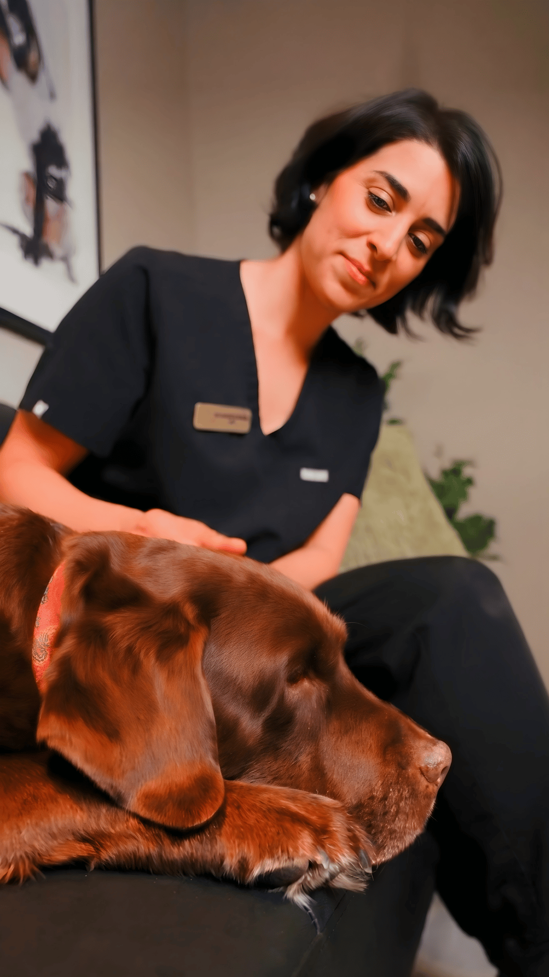 Nathalie Nissaire vétérinaire formée en acupuncture à Montréal
